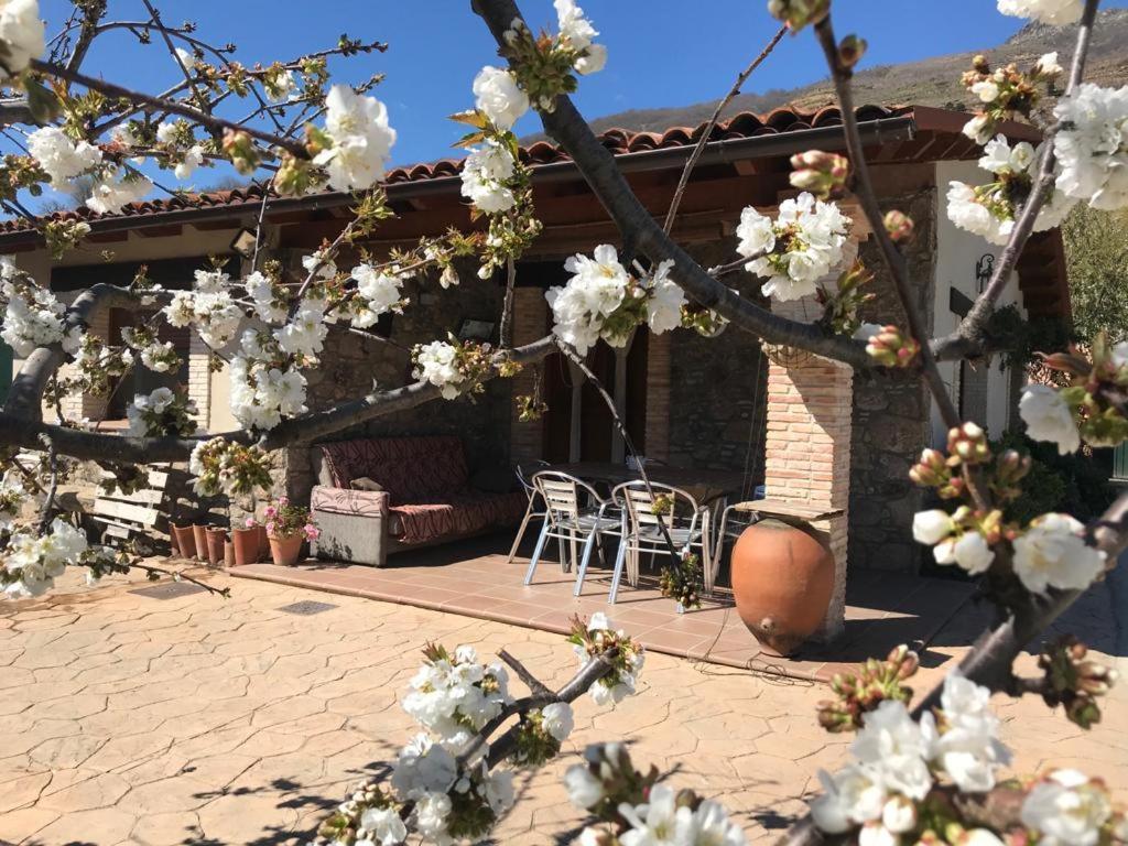 Casa Rural La Picotina نافاكونسيخو المظهر الخارجي الصورة