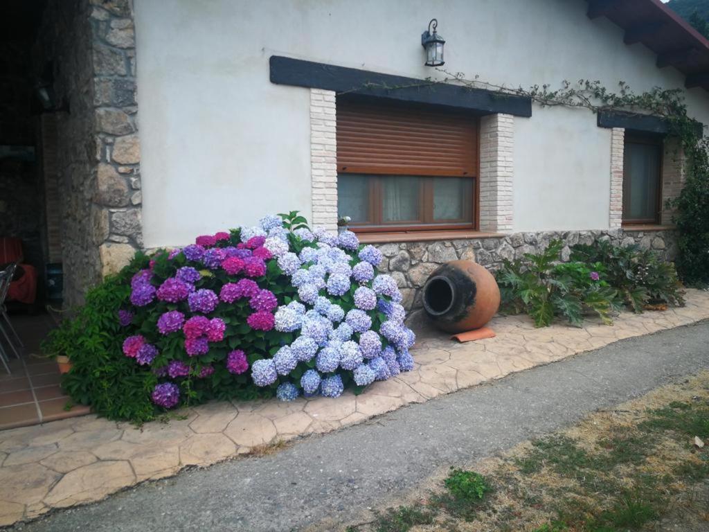 Casa Rural La Picotina نافاكونسيخو المظهر الخارجي الصورة