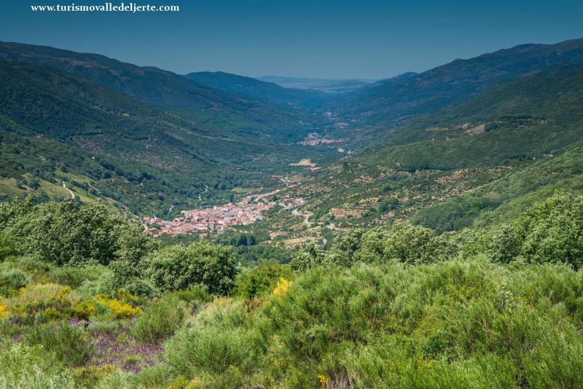 Casa Rural La Picotina نافاكونسيخو المظهر الخارجي الصورة